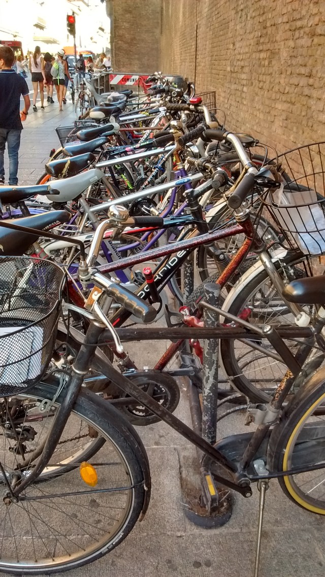 IMG_20170905_164213073_HDR