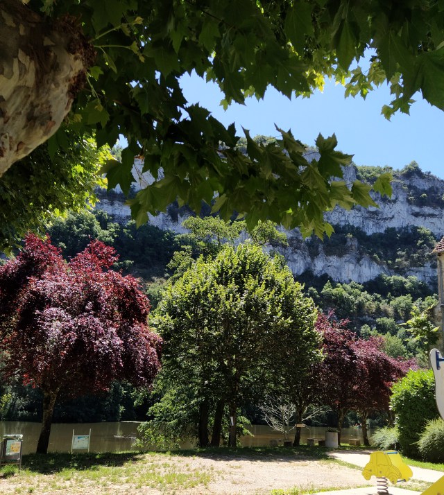 IMG_20200630_124411-01