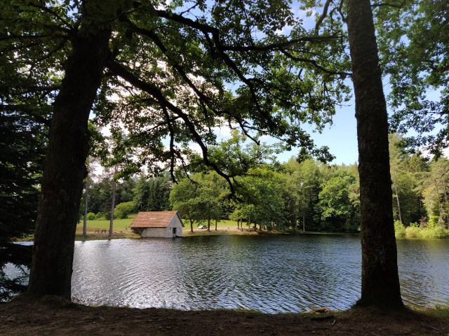 IMG_20200706_113720-01