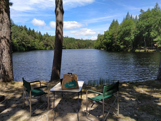 IMG_20200706_122056-01