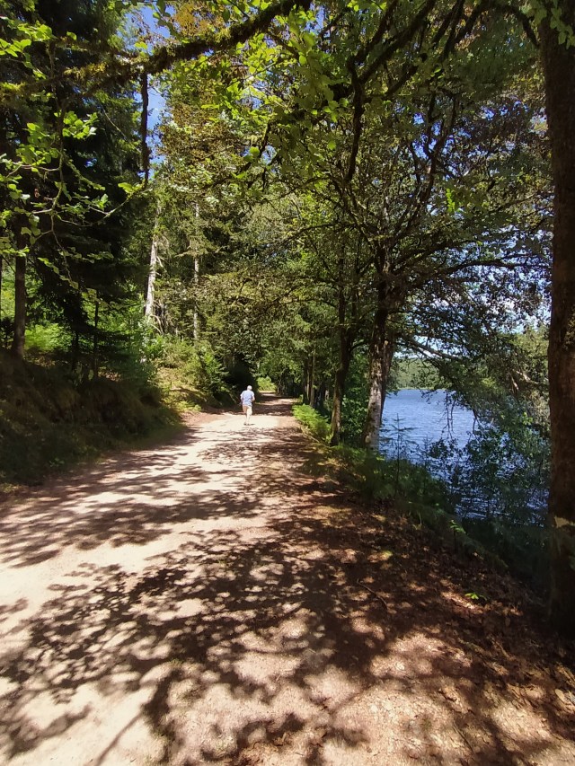 IMG_20200706_130637-01