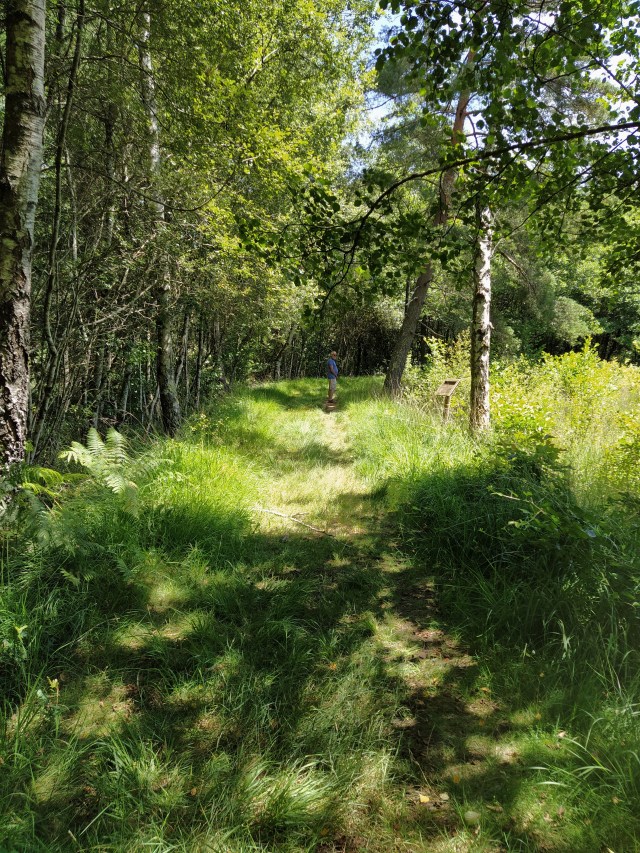 IMG_20200706_131939-01