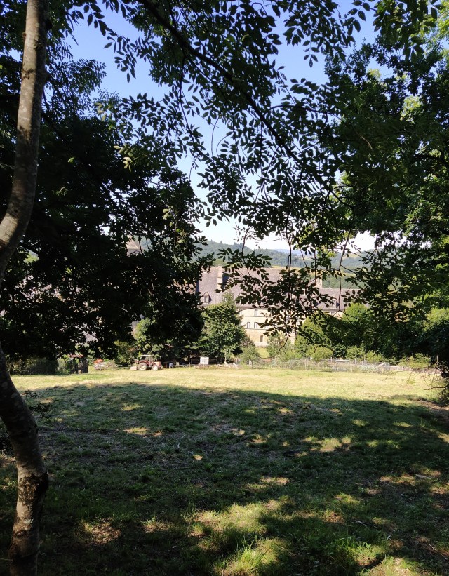 IMG_20200713_113003-01