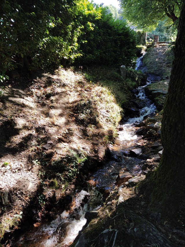 IMG_20200713_113118-01