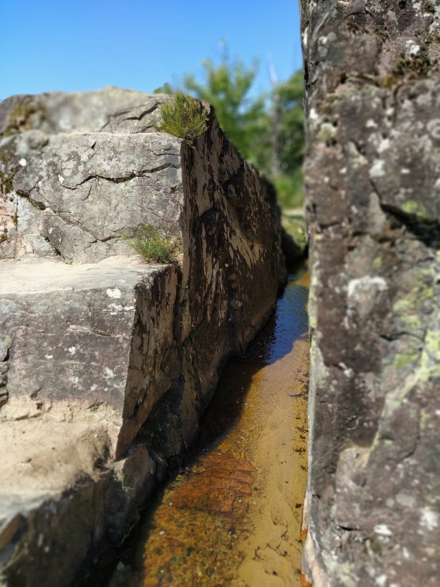 IMG_20200713_115225-01