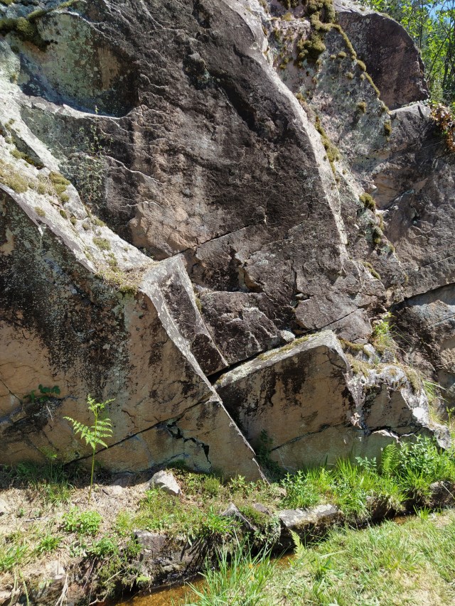 IMG_20200713_115453-01