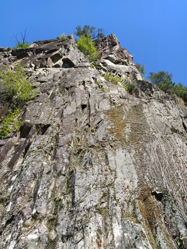 IMG_20200713_120042-01