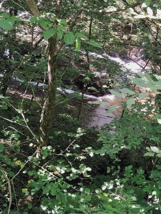 IMG_20200713_120710-01