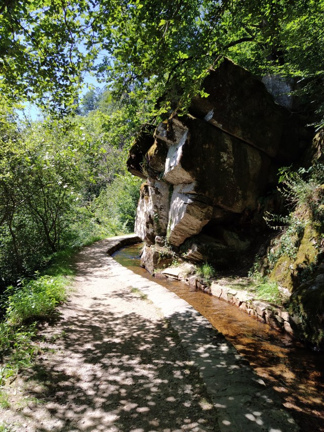 IMG_20200713_122441-01