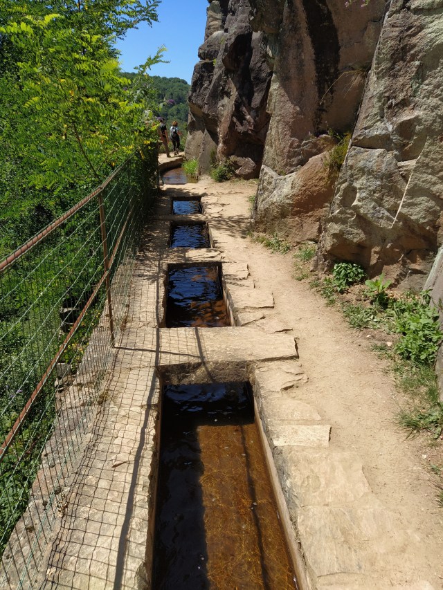 IMG_20200713_122904-01