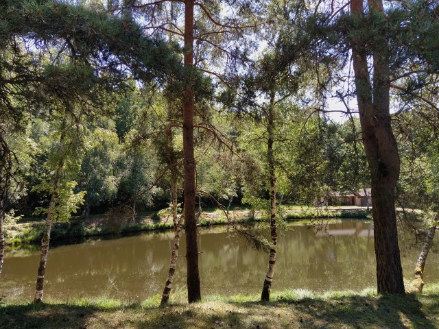 IMG_20200713_131943-01