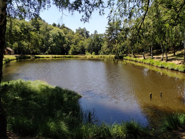 IMG_20200713_140852-01