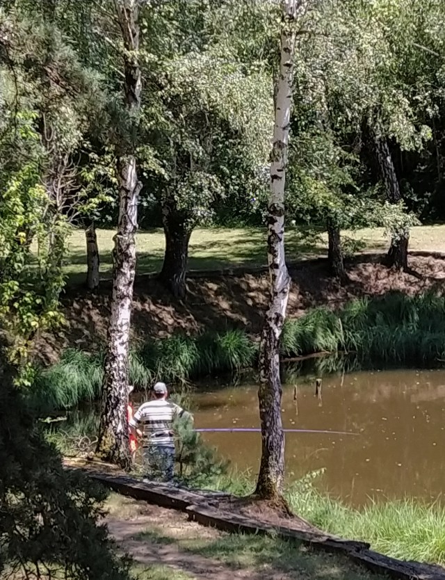 IMG_20200713_141641-01