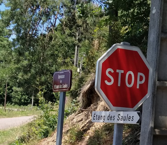 IMG_20200713_141925-01