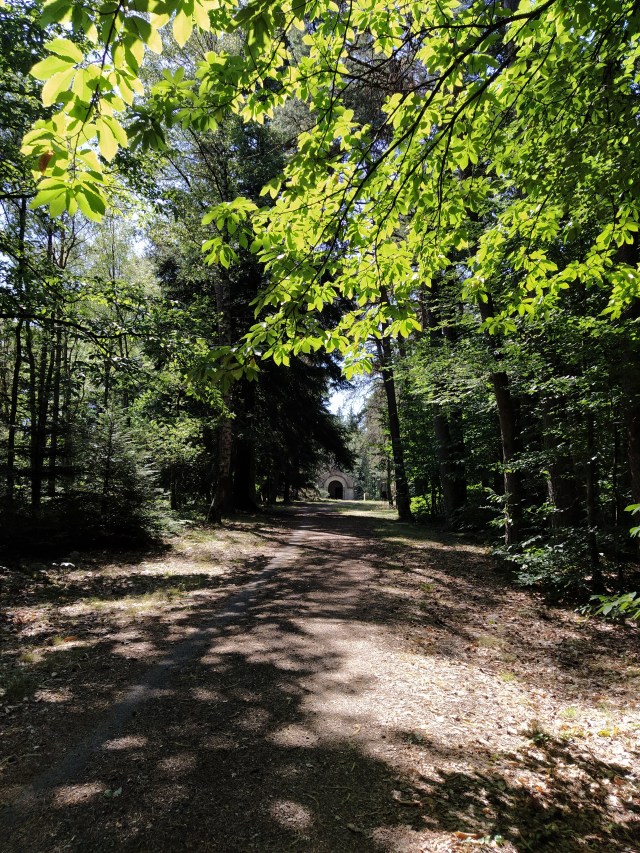 IMG_20200720_114513-01