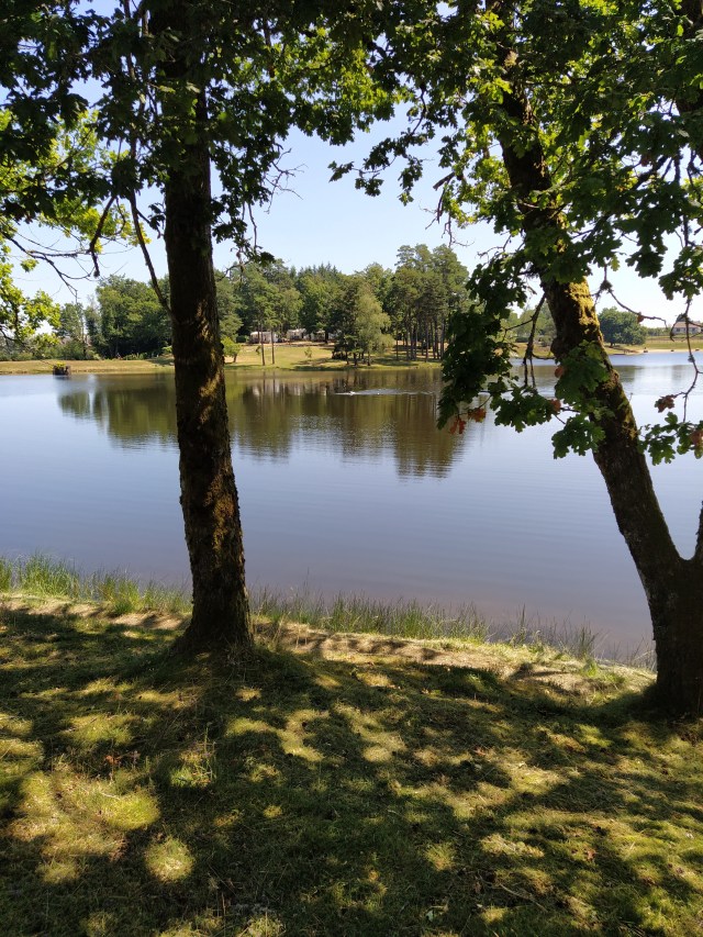 IMG_20200720_121056-01