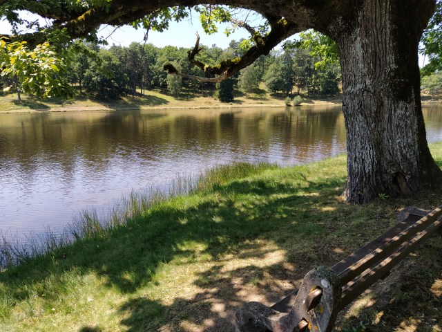 IMG_20200720_130752-01