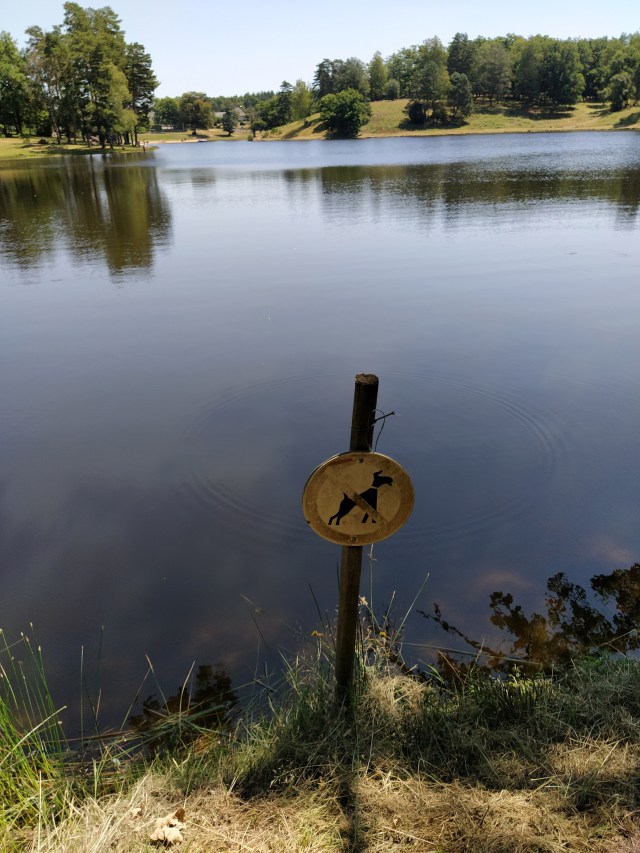 IMG_20200720_131337-01