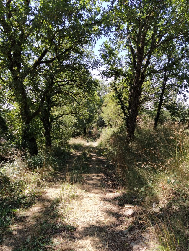 IMG_20200727_115711-01