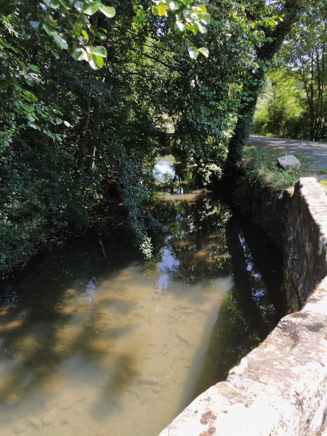 IMG_20200727_120926-01