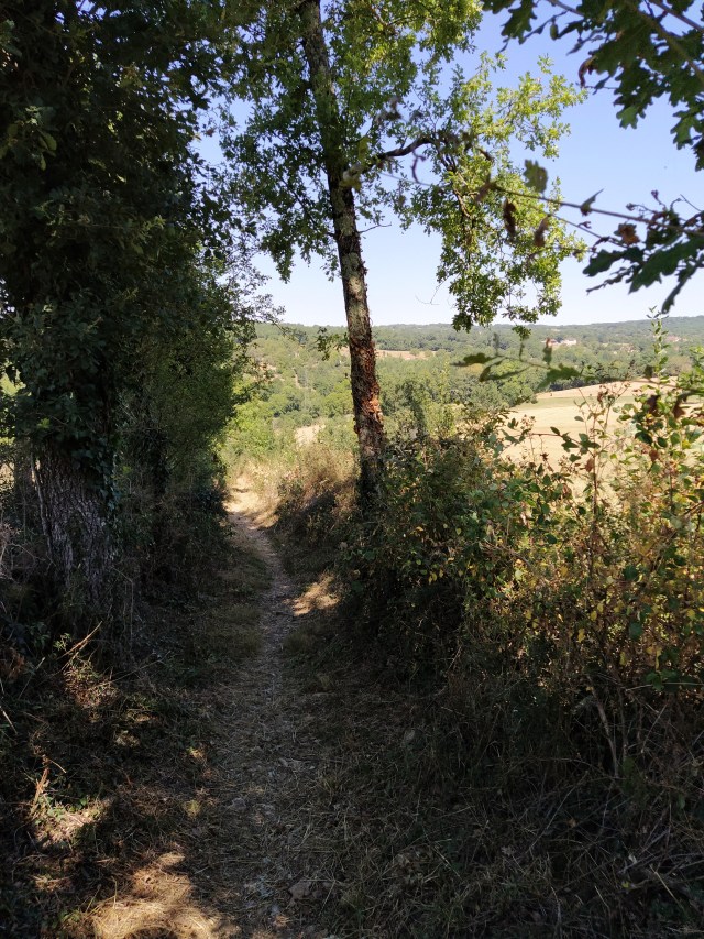 IMG_20200727_122235-01