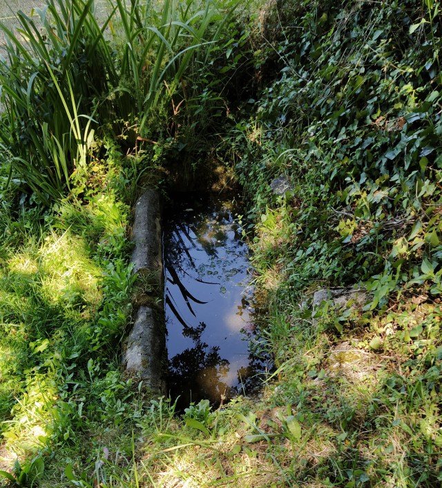 IMG_20200727_123820-01