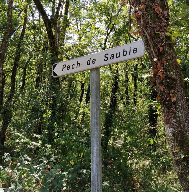 IMG_20200727_125441-01