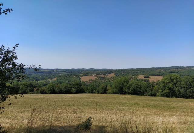 IMG_20200727_131011-01