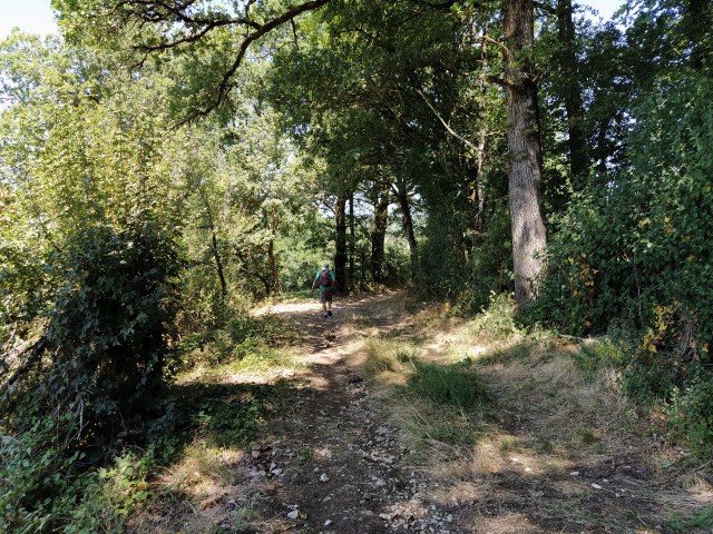 IMG_20200727_131017-01