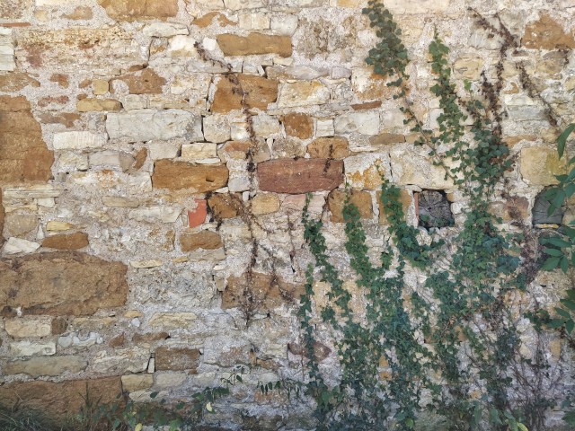 IMG_20200727_132314-02