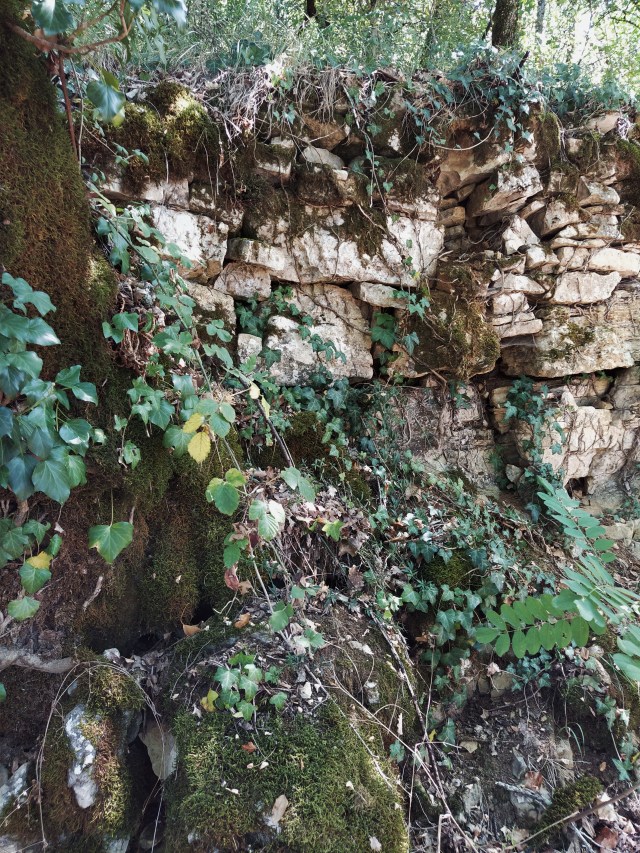 IMG_20200727_132839-01