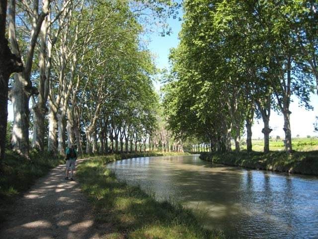 FB_IMG_1598098366897-01