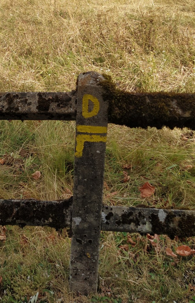 IMG_20200803_113035-01