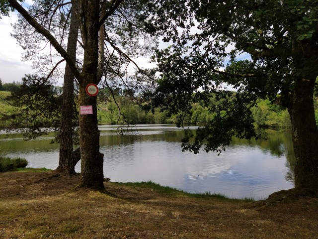 IMG_20200803_120802-01