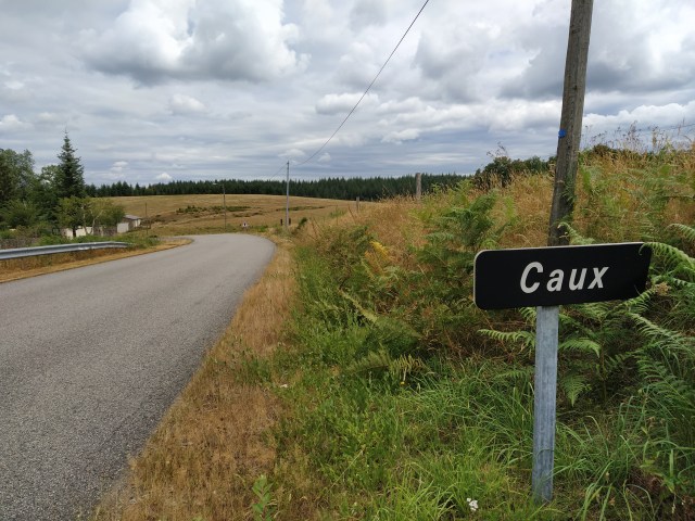 IMG_20200803_123526-01