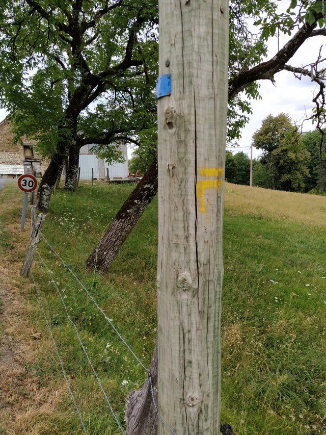 IMG_20200803_124733-01