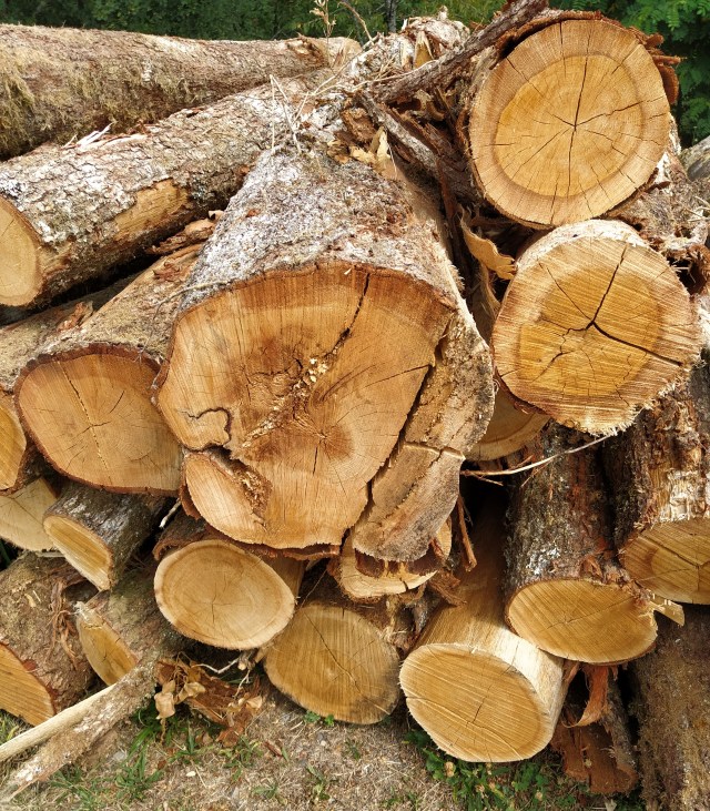 IMG_20200803_124952-01