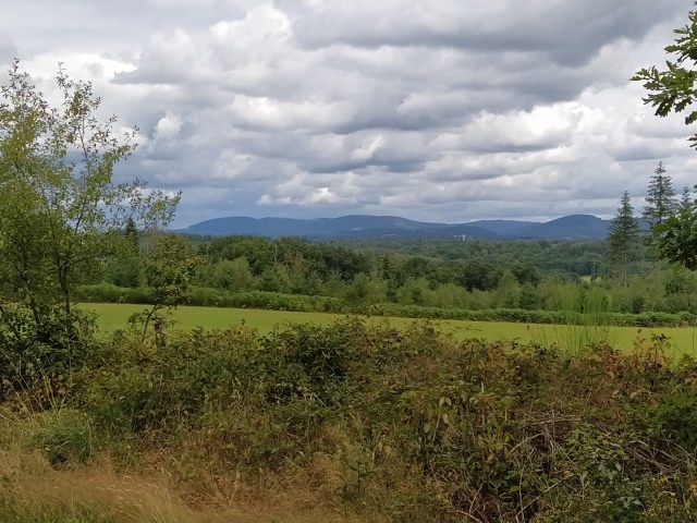 IMG_20200803_131104-01