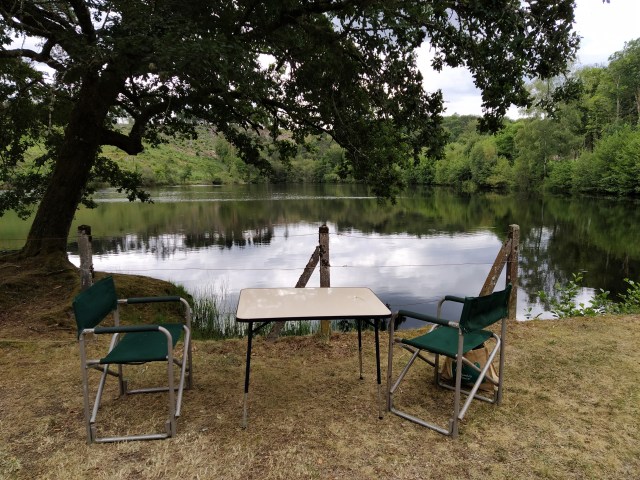 IMG_20200803_135931-01