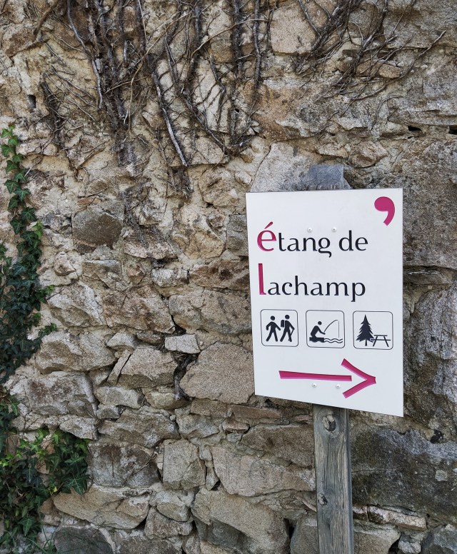 IMG_20200810_112603-01