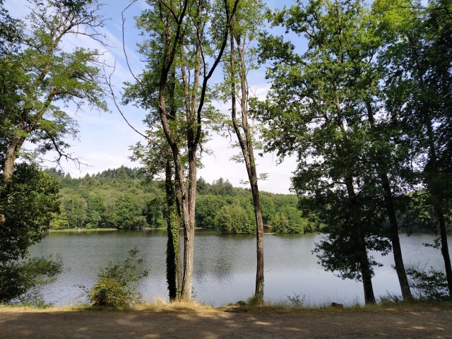 IMG_20200810_113649-01