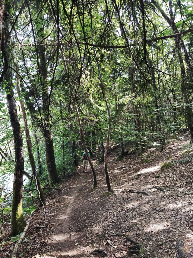 IMG_20200810_113759-01