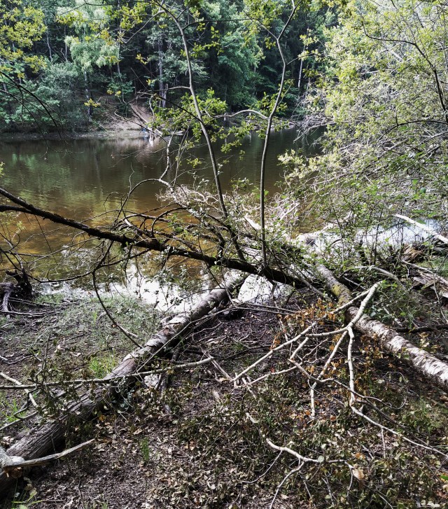 IMG_20200810_115517-01