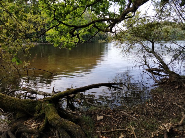 IMG_20200810_115548-01