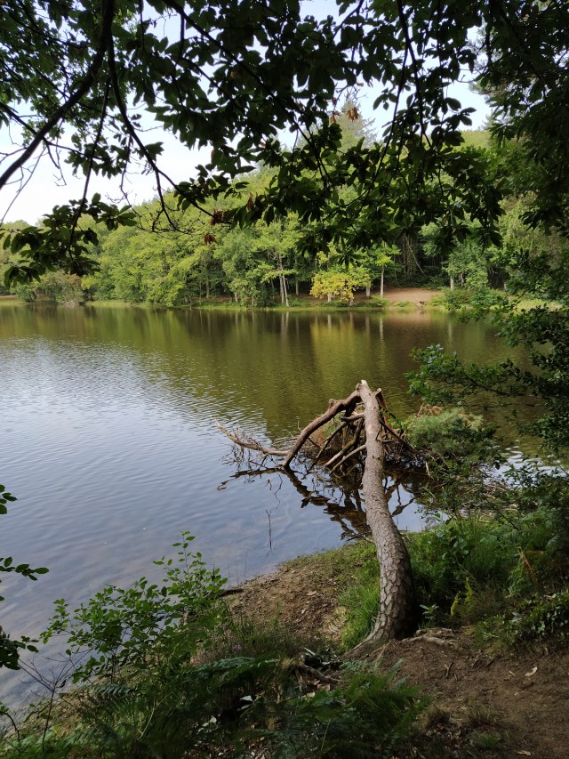 IMG_20200810_120014-01