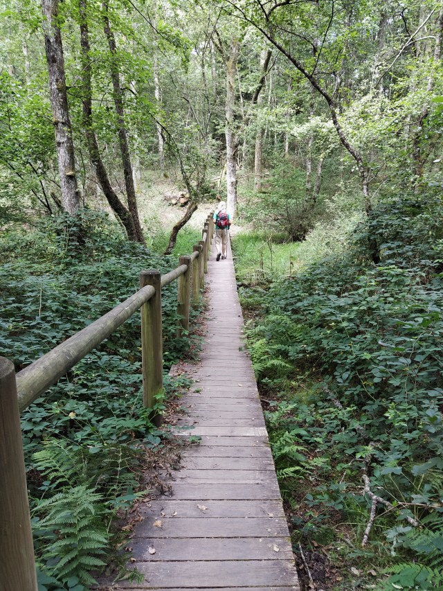 IMG_20200810_120329-01