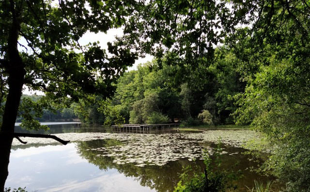 IMG_20200810_121408-01