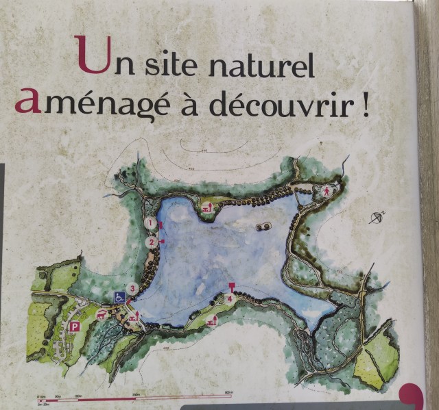 IMG_20200810_122308-01