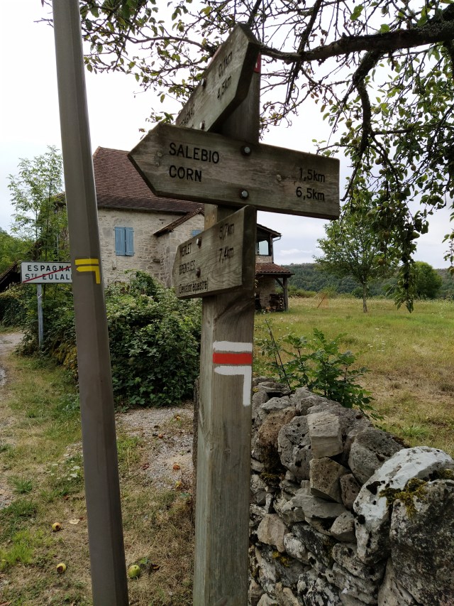 IMG_20200817_113453-01