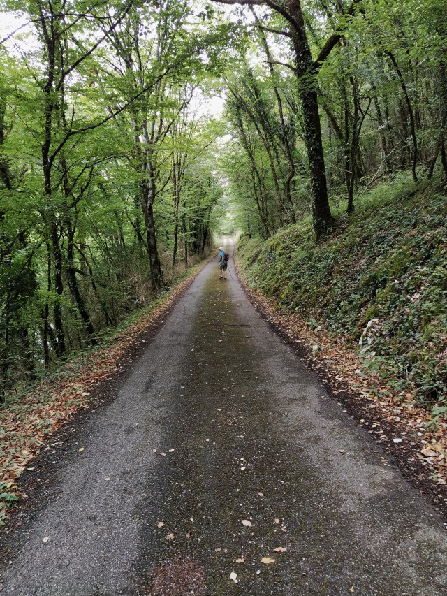 IMG_20200817_113739-01